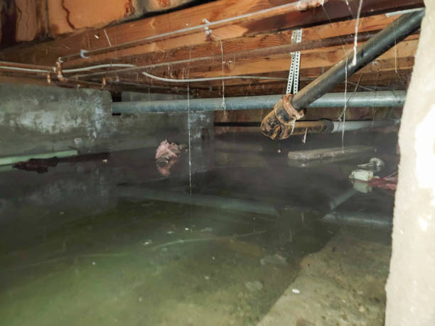 Best Ceiling water damage repair  in Indian Wells, CA