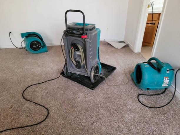Best Commercial water damage restoration  in Indian Wells, CA