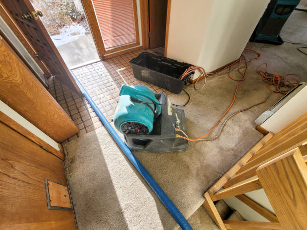 Best Water damage contractors near me  in Indian Wells, CA
