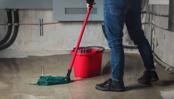 Best Water damage restoration services  in Indian Wells, CA