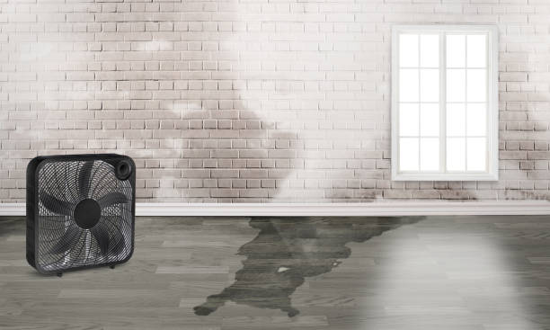 Best Sewage cleanup and water damage restoration  in Indian Wells, CA